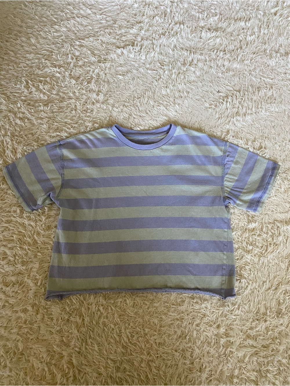 Striped Short Sleeve Cropped Tee in Lavender and Light Green